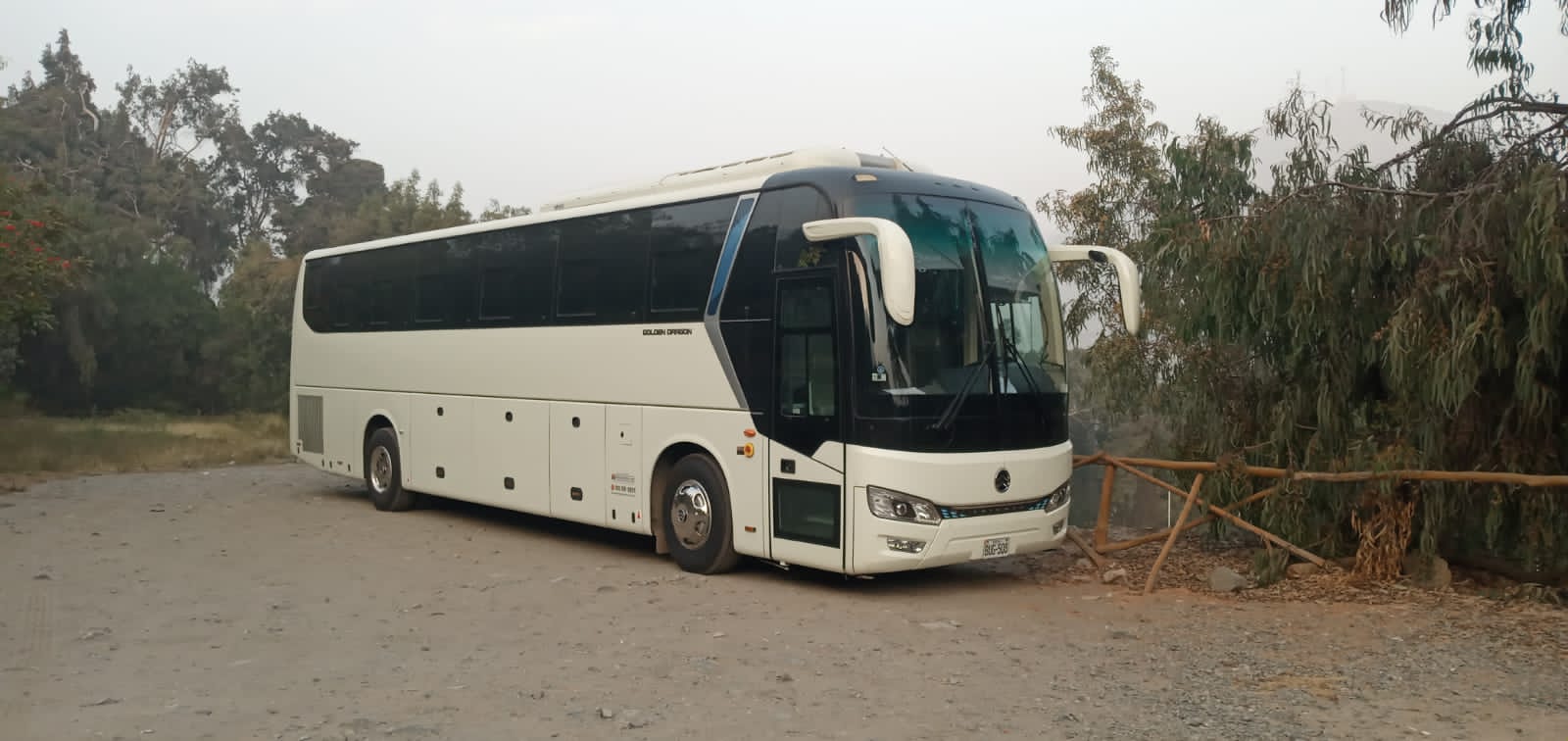 Seguridad interior del bus con cinturones y barandas de proteccion